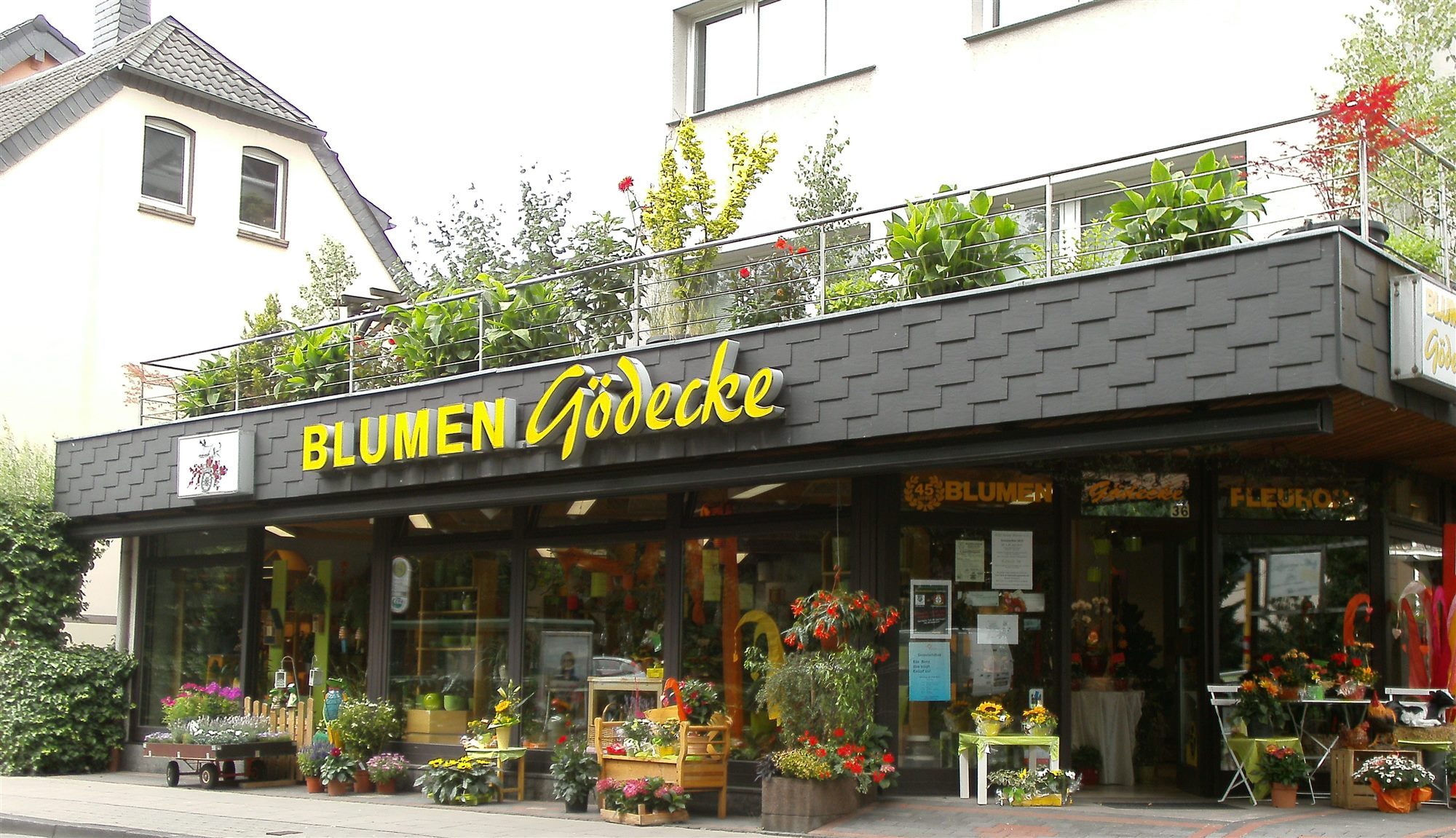 Ladenfront von Blumen Gödecke in der Feldstraße 36